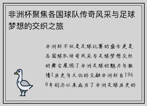非洲杯聚焦各国球队传奇风采与足球梦想的交织之旅