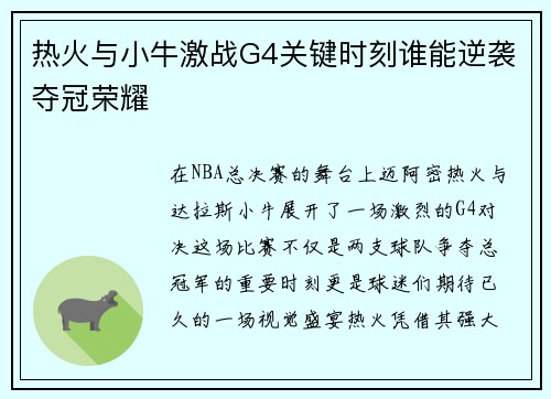 热火与小牛激战G4关键时刻谁能逆袭夺冠荣耀